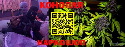 гашик Новокубанск