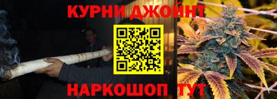 гашик Новокубанск