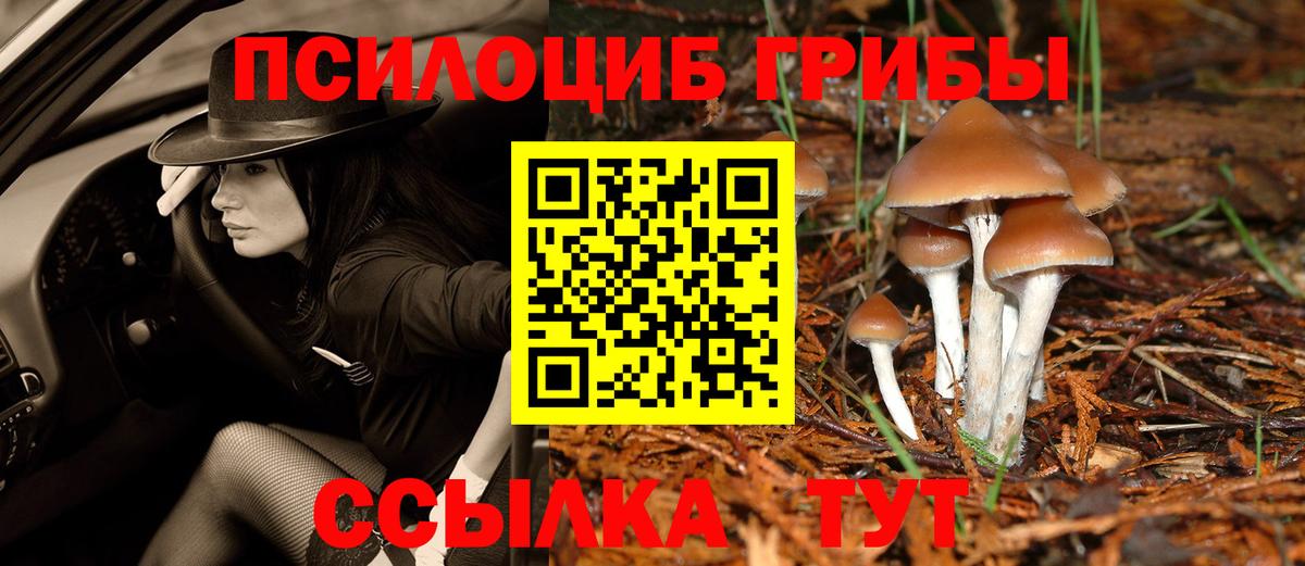 Псилоцибиновые грибы Psilocybine cubensis Дагестанские Огни